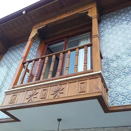 Caretta Akyaka (Mugla)