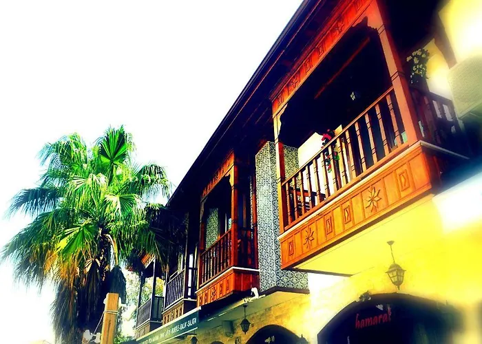 Caretta Akyaka (Mugla)