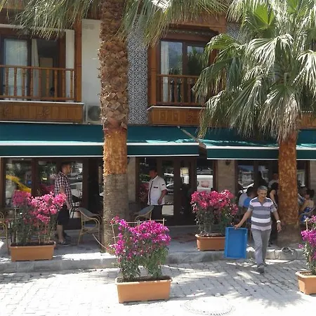 Caretta Akyaka (Mugla)